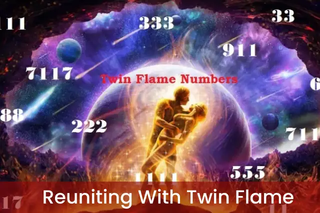 151 Angel Number Twin Flame
