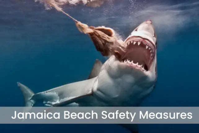 Jamaica Beach Safety Measures