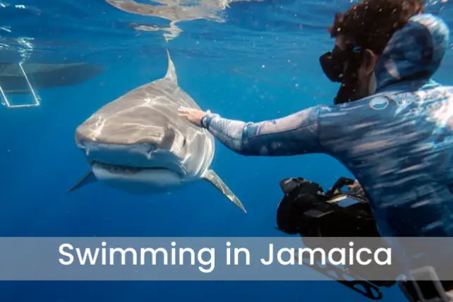Swimming In Jamaica